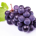 Isabella Grape